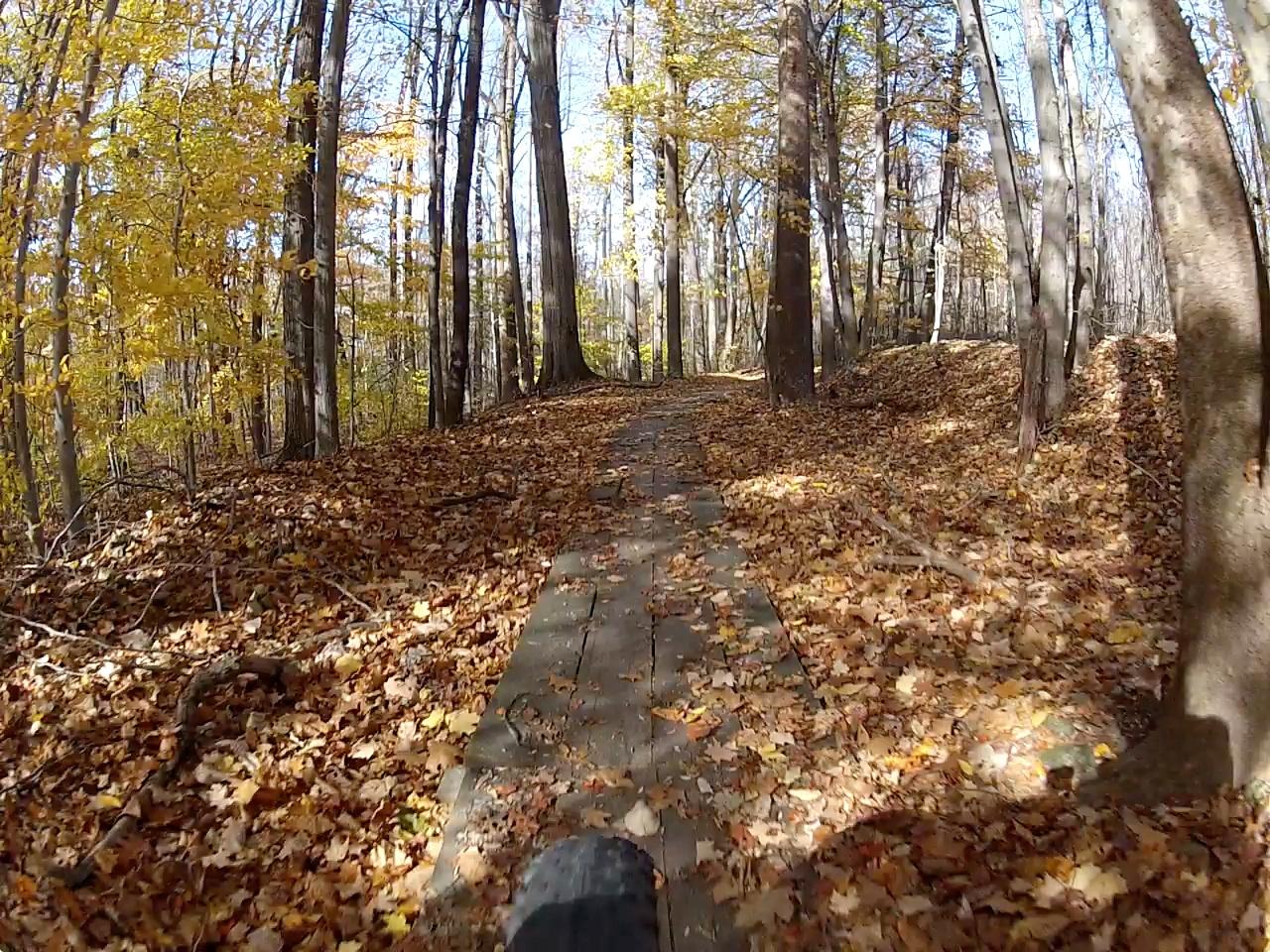 A wooden pathway through a forest during autumn, lined with colorful fallen leaves and surrounded by tall trees with yellow and orange foliage. The scene is bright and serene, showcasing the beauty of nature in the fall season. Indian Hollow Reservation mountain bike trail.
