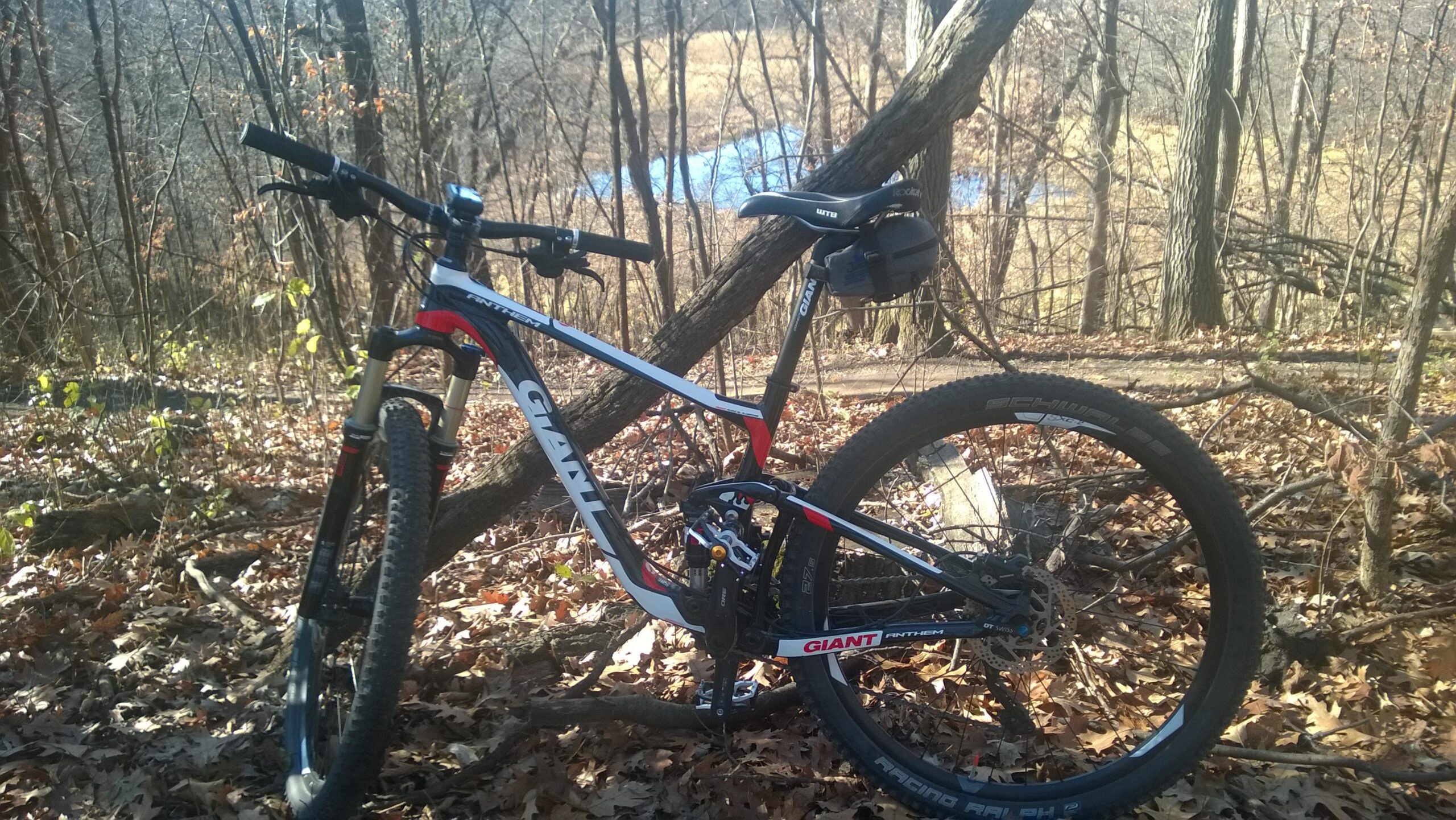 Giant Anthem 27.5 3: A mountain bike leaning against a fallen tree in a forested area, surrounded by autumn leaves. In the background, a glimpse of a serene pond can be seen through the trees.