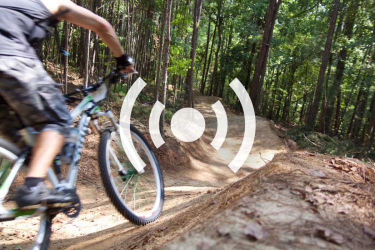 A mountain biker navigating a dirt trail in a wooded area, with motion blur conveying speed and dynamism. The scene features lush greenery and a path curving ahead, suggesting an adventurous outdoor activity.