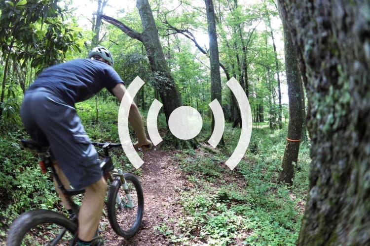 A mountain biker riding along a narrow, wooded trail surrounded by lush greenery. The image features a close-up view of the cyclist's back, wearing a helmet and shorts, with trees and underbrush visible in the background. A graphic overlay resembling a sound or signal icon is placed in the center.