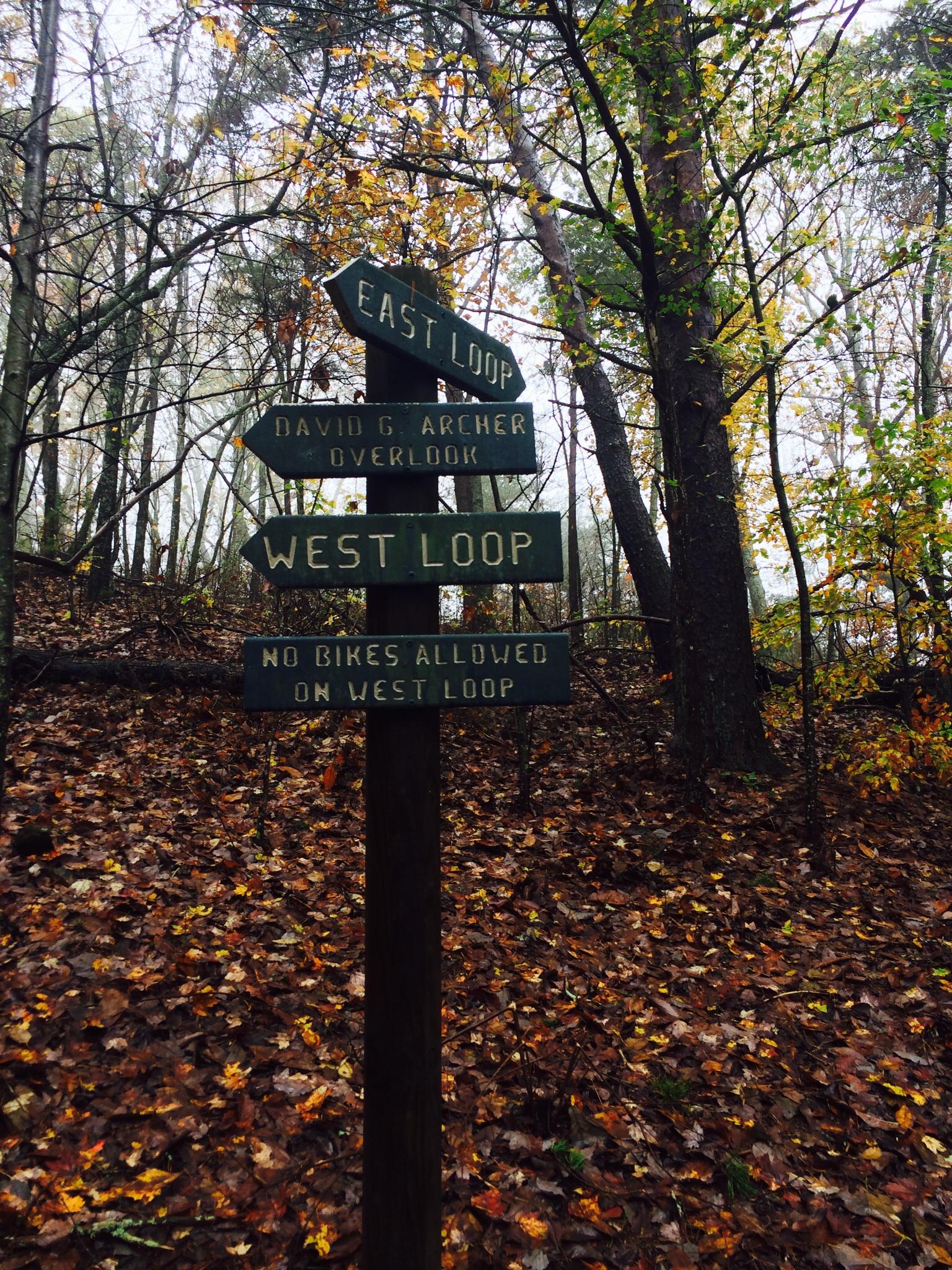 A wooden signpost in a foggy forest displaying directional arrows for hiking trails: "East Loop," "David G. Archer Overlook," and "West Loop," with an additional note stating "No Bikes Allowed on West Loop." The ground is covered with a layer of fallen leaves, creating a serene autumn atmosphere. Pine Mountain Recreation Area mountain bike trail.