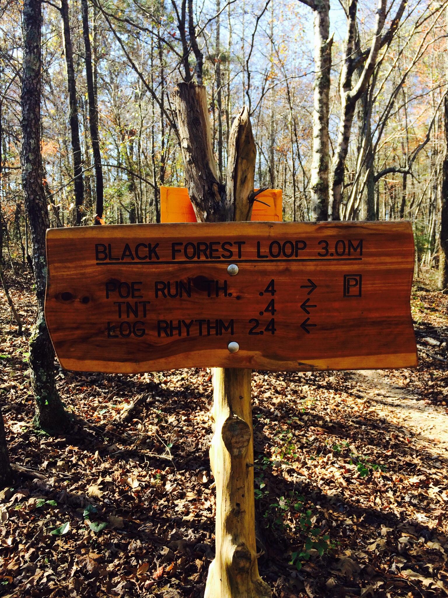 A wooden trail sign in a forest, displaying directions for various hiking paths, including "BLACK FOREST LOOP 3.0M," "POE RUN TH. .4," "TNT .4," and "LOG RHYTHM 2.4," with arrows indicating the direction to each trail. The background features trees and fallen leaves, suggesting a natural outdoor setting. Enterprise South mountain bike trail.