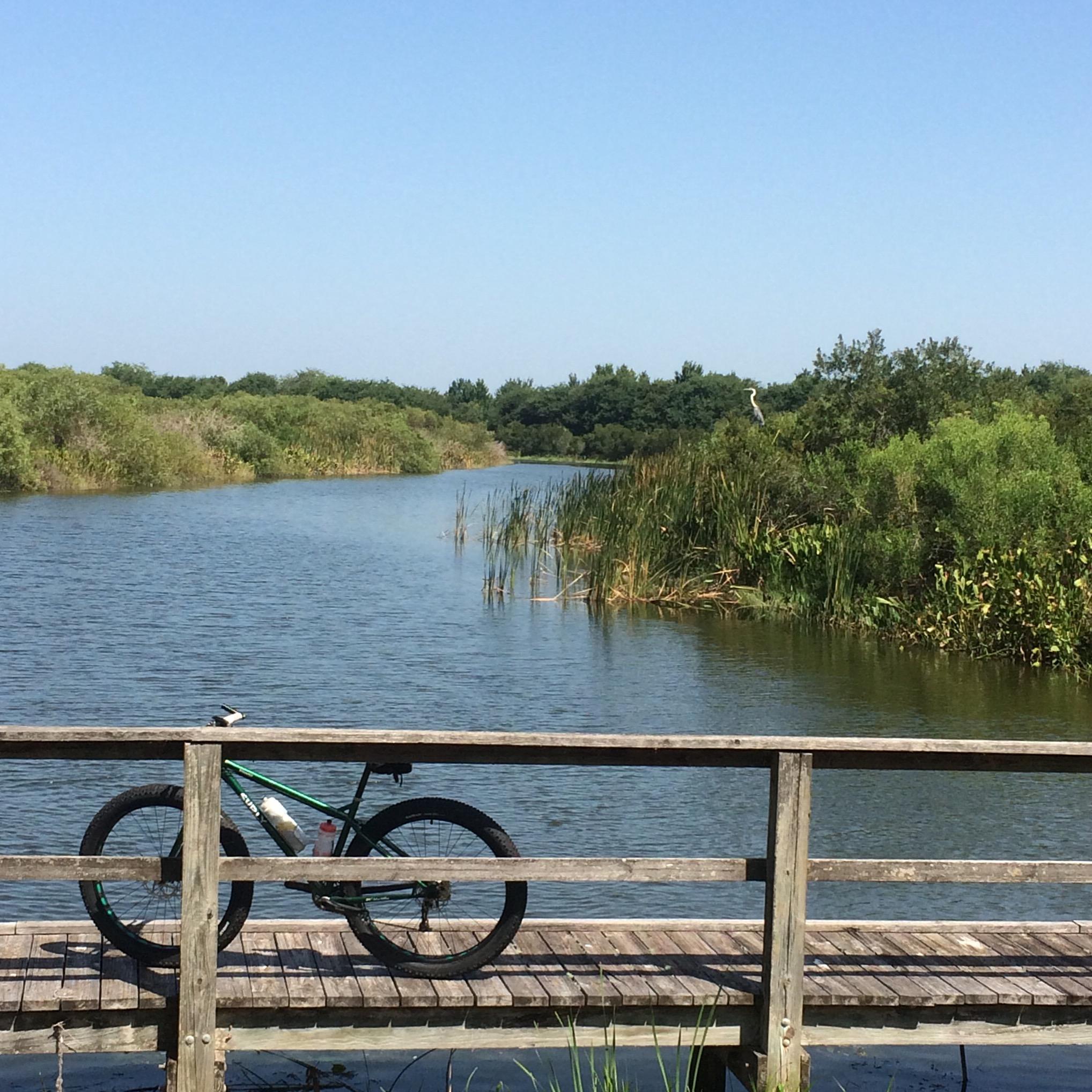A peaceful natural scene featuring a wooden bridge over a calm river. A mountain bike is parked on the bridge, with lush greenery lining the riverbanks. In the distance, tall grasses and trees create a serene backdrop under a clear blue sky. Lake Apopka Restoration Area mountain bike trail.