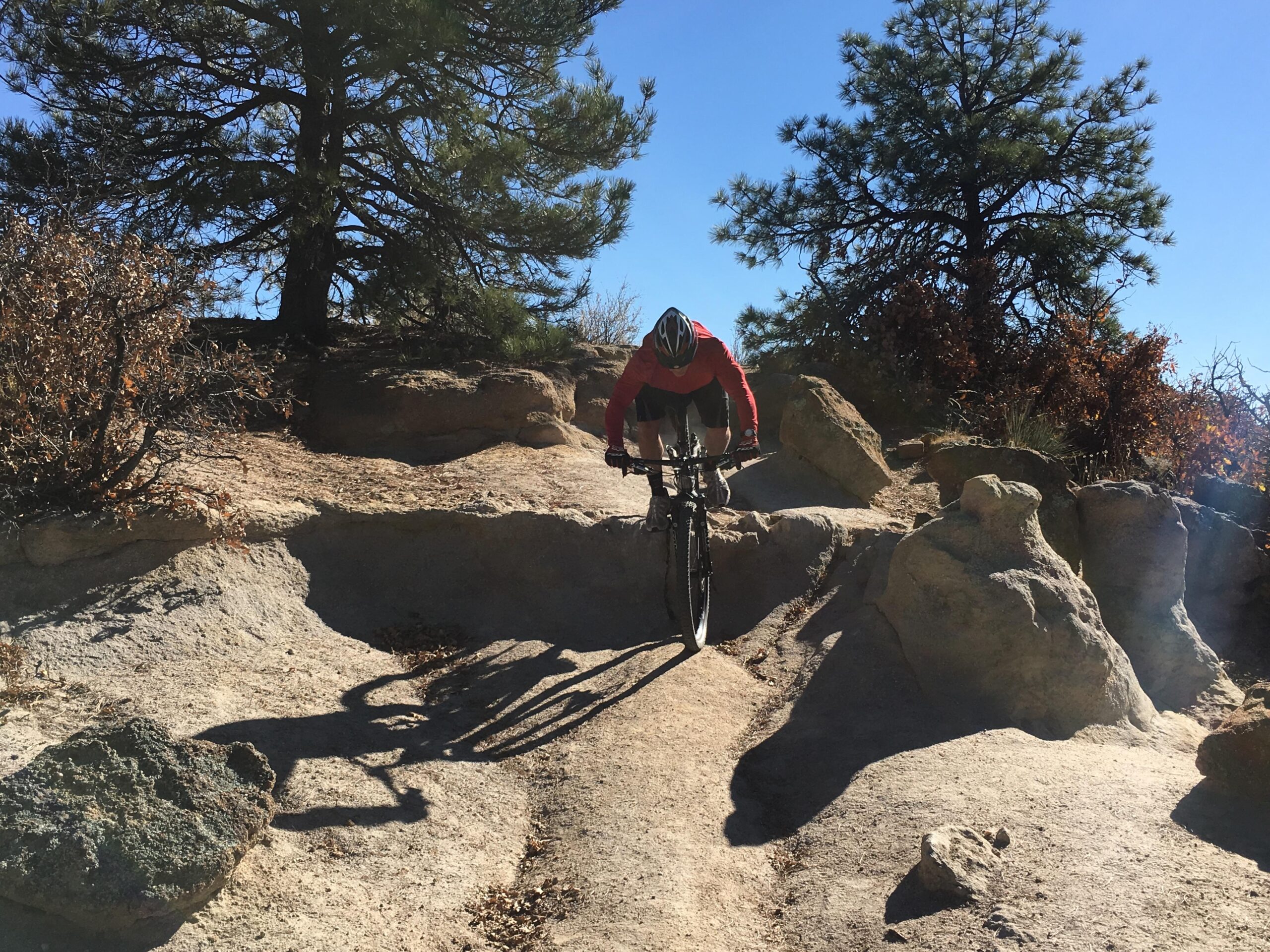 A mountain biker riding on a rocky trail surrounded by trees and shrubs, with a clear blue sky in the background. The biker is leaning forward, navigating a section of the trail that features natural obstacles like rocks and uneven terrain. Palmer Park mountain bike trail.