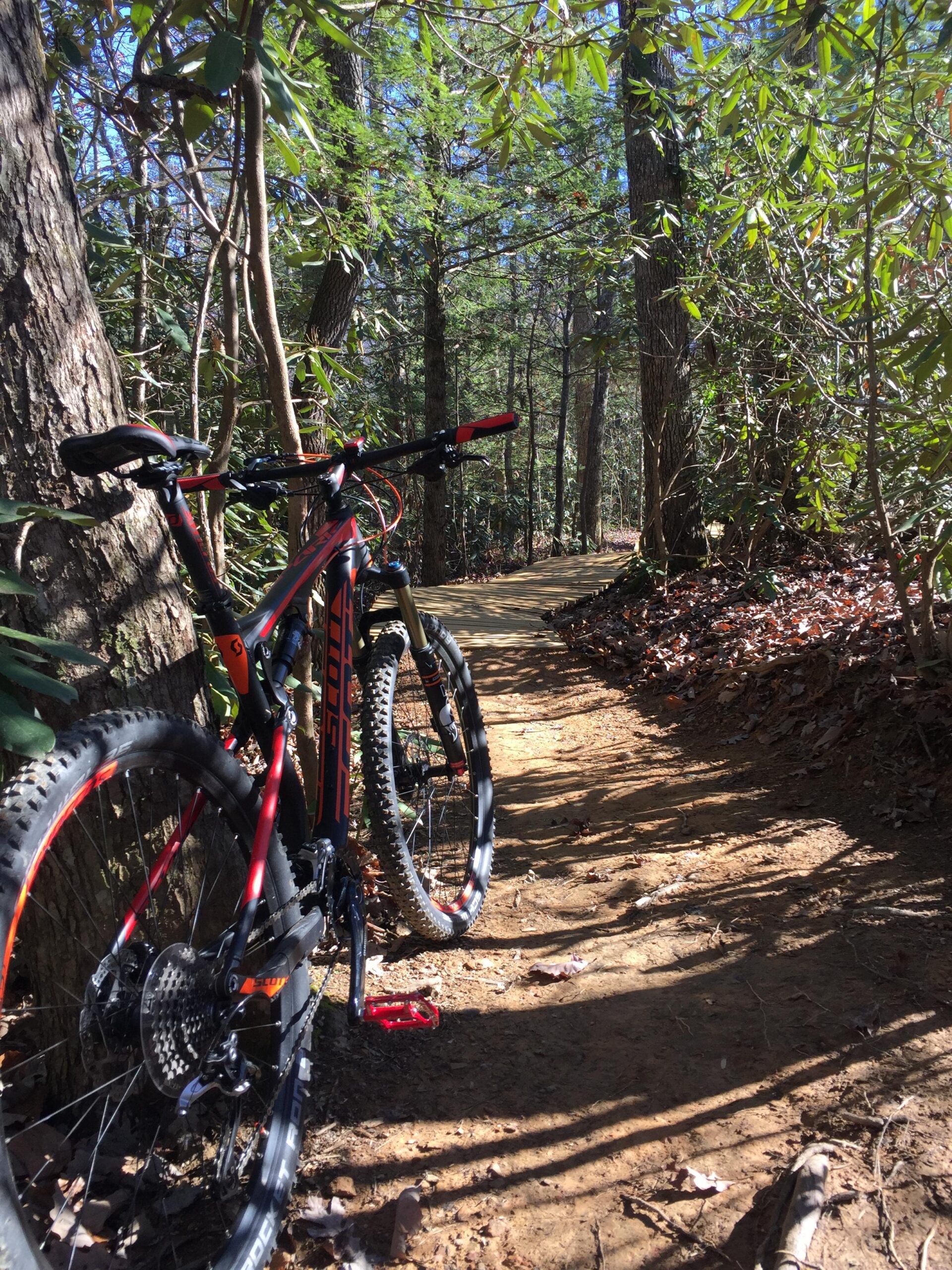 Scott Spark 750 Bike: A mountain bike rests against a tree beside a dirt trail, surrounded by lush greenery and tall trees. Sunlight streams through the leaves, illuminating the winding path ahead. The terrain features scattered leaves and a mixture of light and shadow, indicating a serene outdoor cycling environment.