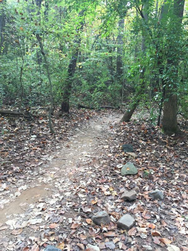 A dirt path winding through a wooded area, surrounded by trees and dense foliage. The ground is covered in fallen leaves and small rocks, indicating a natural trail in a forested environment. USNWC mountain bike trail.