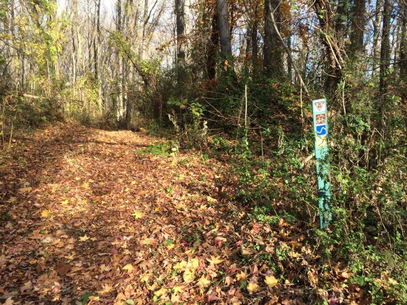 A winding dirt path through a forest surrounded by trees, covered with a carpet of colorful autumn leaves. A trail marker with symbols for hiking and biking stands on the right side, indicating trail options. Wolfes Pond park mountain bike trail.