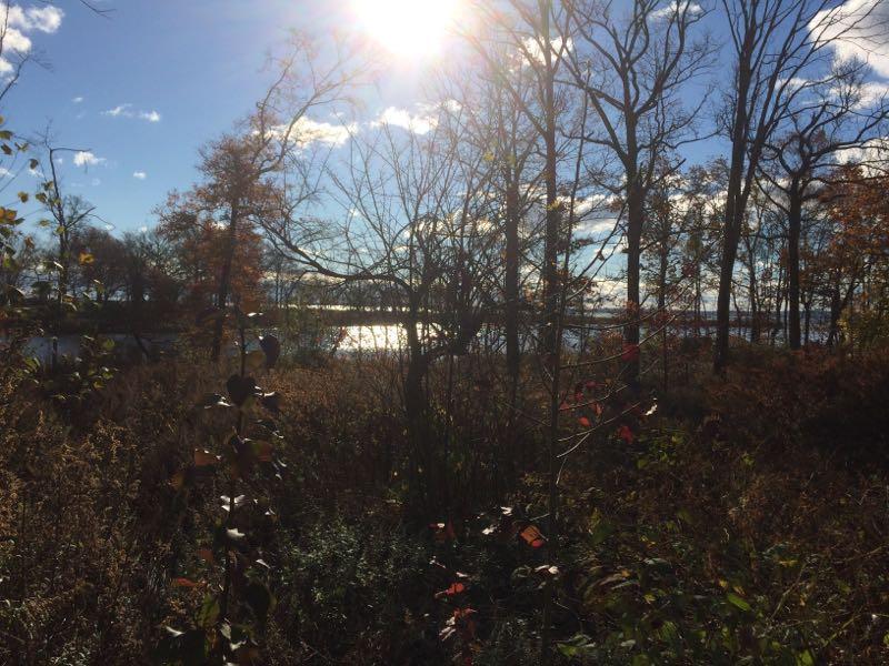 A serene outdoor scene depicting a body of water in the background, framed by trees and shrubs, with sunlight shining brightly in a clear blue sky scattered with clouds. The foliage displays autumn colors, creating a tranquil atmosphere. Wolfes Pond park mountain bike trail.
