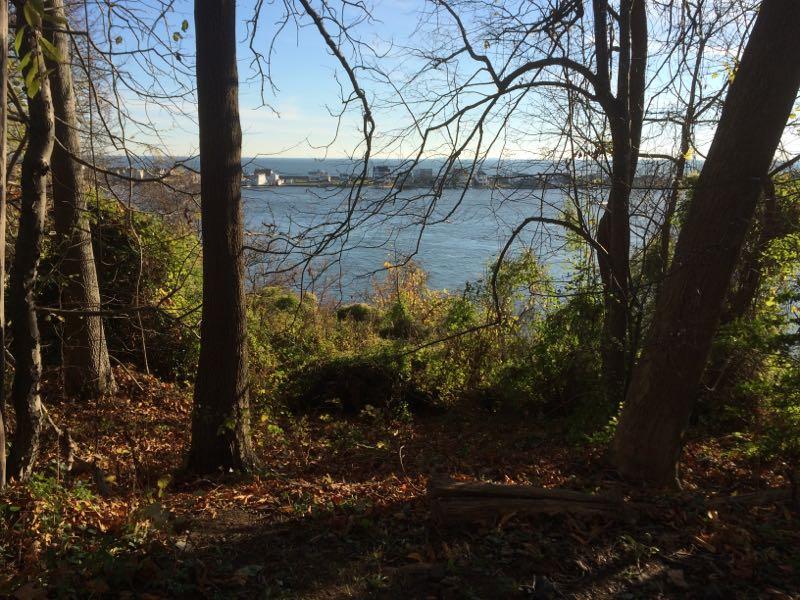 A view of a serene river framed by leafless trees and lush greenery, with sunlight reflecting on the water. In the distance, a faint outline of buildings and a hill can be seen against a clear blue sky. The forest floor is covered with fallen leaves, creating a peaceful natural setting. Hartshorne Woods Park mountain bike trail.