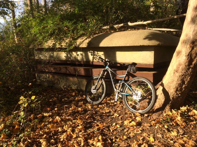 A mountain bike resting against a large concrete structure, surrounded by a mix of green foliage and fallen autumn leaves. The scene is set in a forested area with dappled sunlight filtering through the trees. Hartshorne Woods Park mountain bike trail.