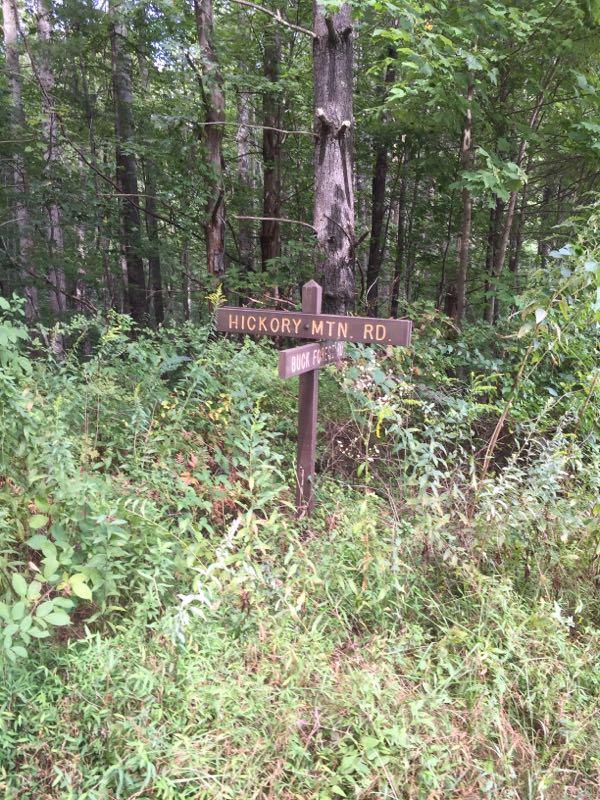 A brown directional sign in a wooded area indicating "Hickory Mtn. Rd." and "Buck Fern Trail," surrounded by tall grasses and various green plants. DuPont State Forest mountain bike trail.