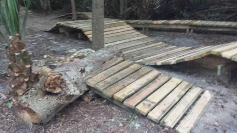 Wooden pathways curving through a natural setting, with a large fallen log positioned alongside the path. The ground is sandy with scattered vegetation, and the area appears serene and inviting for outdoor exploration. Mount Dora Trail mountain bike trail.