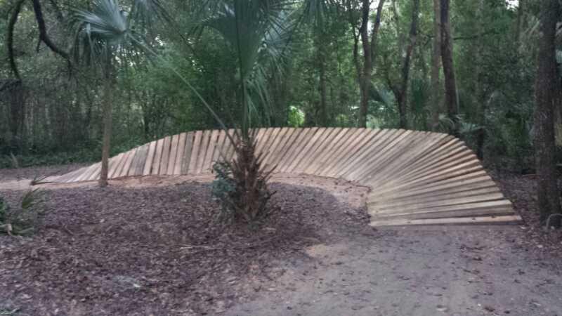 A wooden bike ramp in a forested area, curving gently through a natural landscape with trees and foliage surrounding it. The ground is covered in brown leaves and dirt, creating a rustic outdoor setting. Mount Dora Trail mountain bike trail.