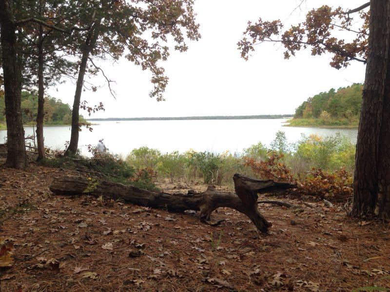 A serene view of a lakeshore surrounded by trees, with a fallen log in the foreground. The water is calm, reflecting the overcast sky, and greenery can be seen along the shore. A figure is present, slightly obscured, engaged in an activity near the water. The scene captures the tranquility of nature in a wooded area during autumn. Barber Hills Trail at Pat Mayse Lake mountain bike trail.