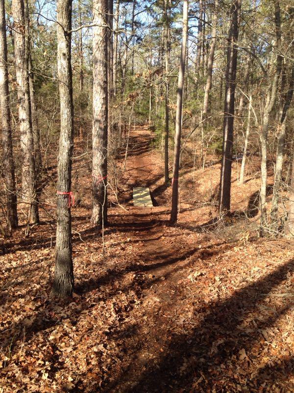 A dirt trail winding through a forest of tall trees, with autumn leaves scattered on the ground. A small wooden bridge crosses a shallow area in the path, marked by bright red tape on nearby trees. Sunlight filters through the branches, adding warmth to the scene. Barber Hills Trail at Pat Mayse Lake mountain bike trail.
