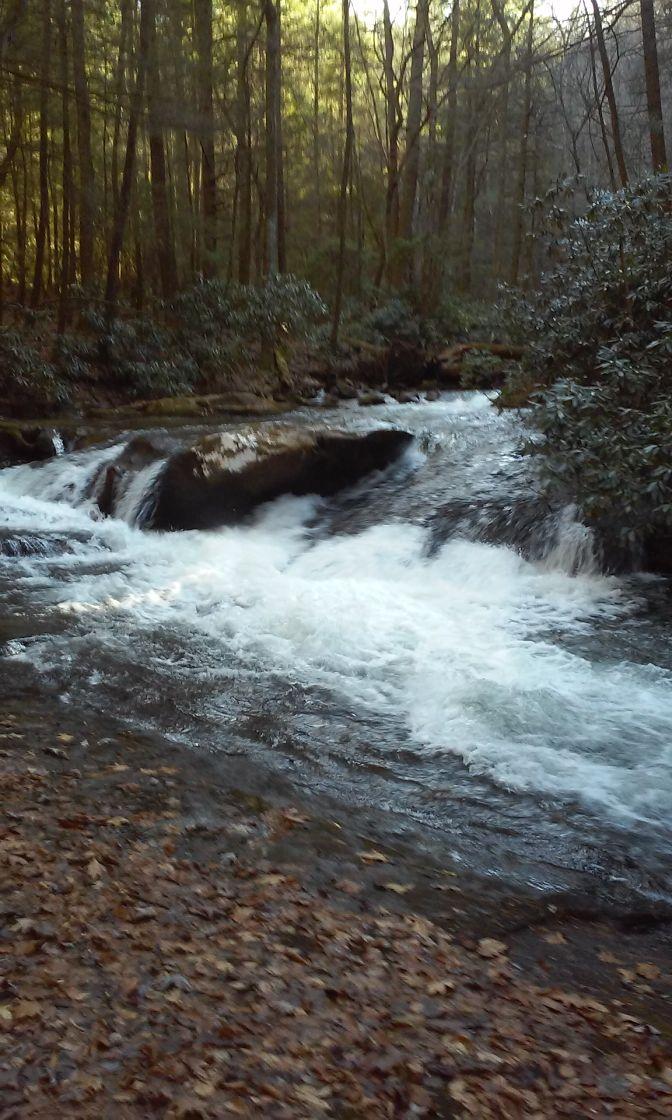 A flowing stream with white water cascading over rocks, surrounded by a lush forest of tall trees and green foliage. The ground is covered with brown fallen leaves, indicating the transition of seasons. The scene conveys a peaceful and natural outdoor environment. Noontootla mountain bike trail.