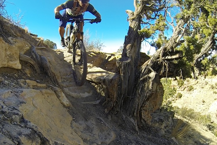 A mountain biker navigating a rocky trail on a sunny day, with clear blue skies and trees in the background. The rider is leaning forward, showcasing the balance and skill required for the challenging terrain.