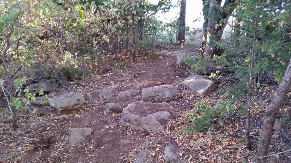 A dirt path winding through a wooded area, lined with scattered rocks and fallen leaves. The scene is filled with trees and greenery, creating a natural and tranquil environment. Lake Ponca Trails mountain bike trail.