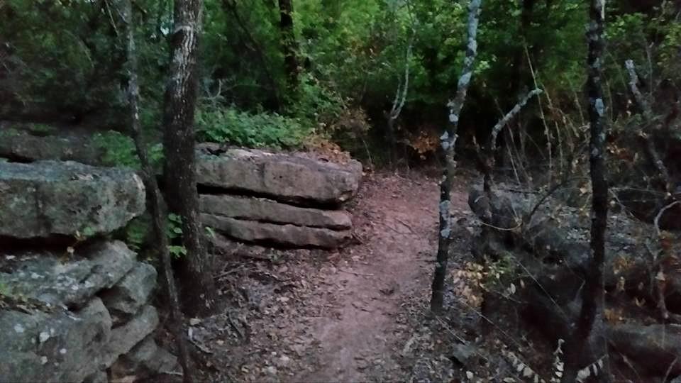 Pathway through a wooded area, flanked by large rock formations and tall, slender trees. The ground is covered with leaves, indicating the presence of nature and possibly a recent change of season. The scene is dimly lit, suggesting early evening or late afternoon light. Lake Ponca Trails mountain bike trail.