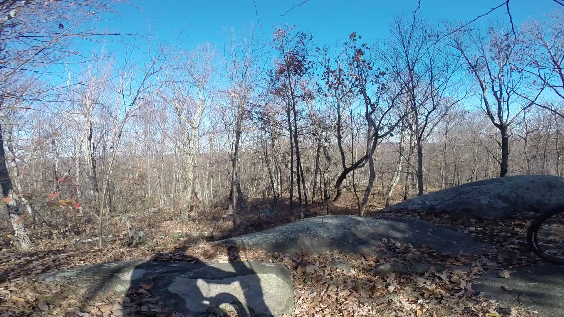 A scenic view of a rocky outdoor landscape during autumn, featuring bare trees and fallen leaves on the ground. The sky is clear and blue, creating a tranquil atmosphere in a nature setting. Long Pond Ironworks State Park mountain bike trail.