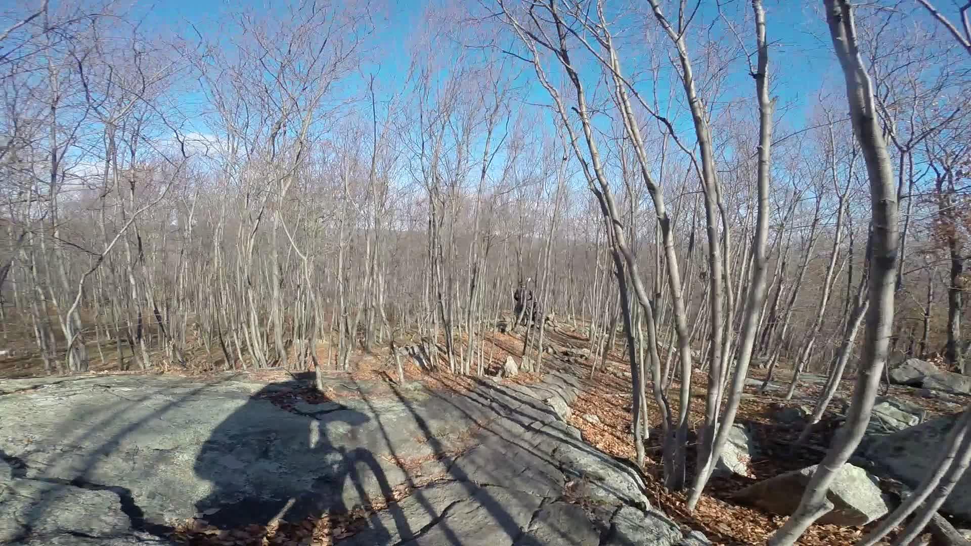 A rocky trail surrounded by bare trees under a clear blue sky, with shadows cast on the ground from the trees. Long Pond Ironworks State Park mountain bike trail.