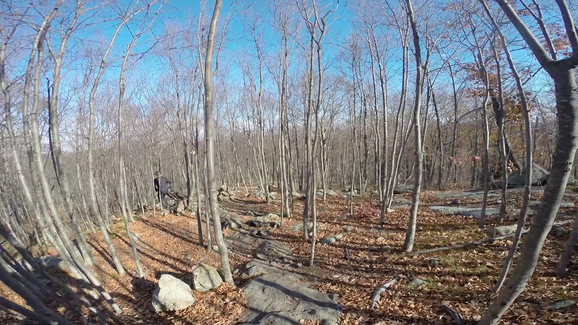A winding trail through a forest of bare trees and scattered rocks, with fallen leaves covering the ground. A figure in the distance walks along the path under a clear blue sky. Long Pond Ironworks State Park mountain bike trail.