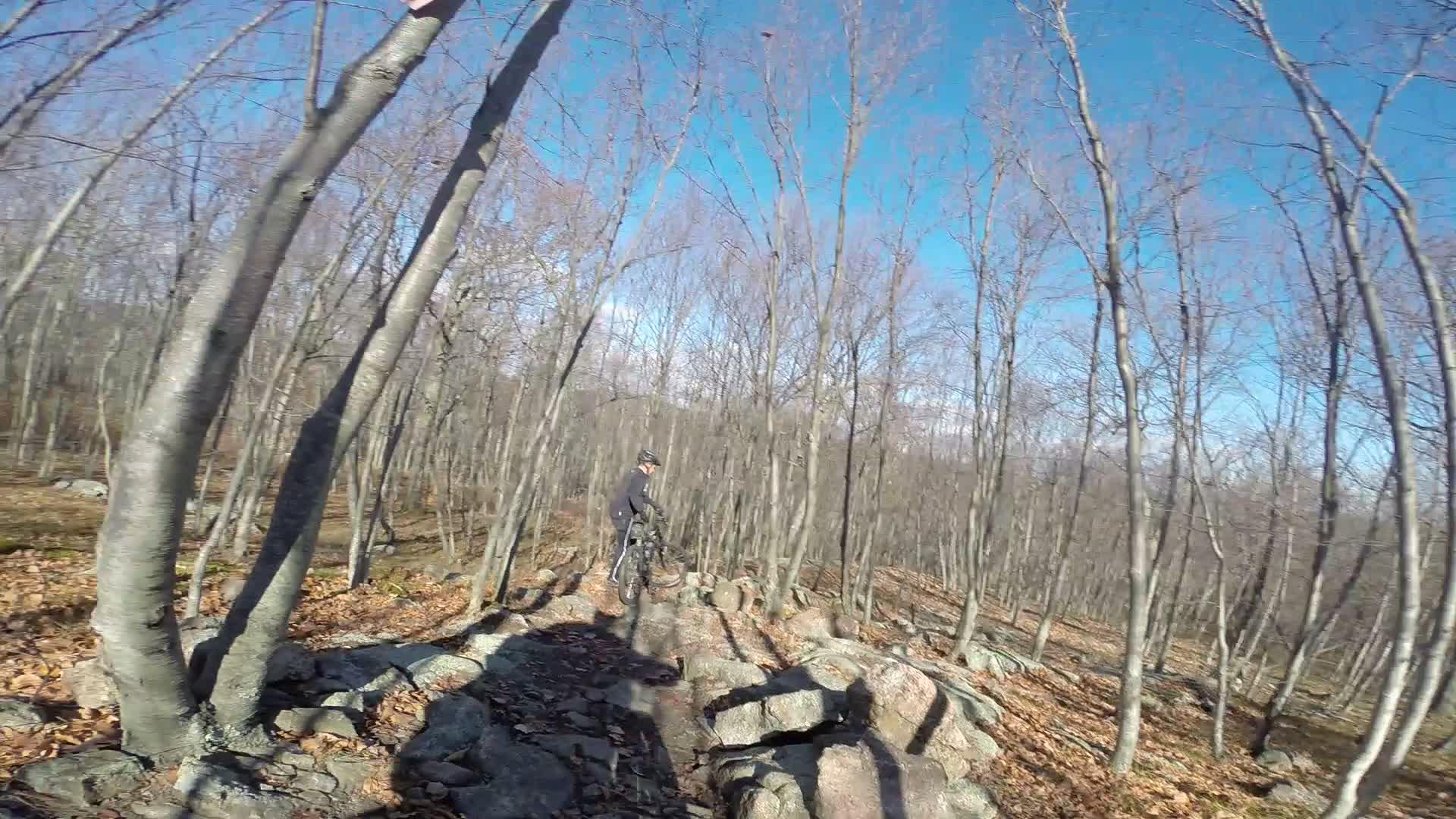 A person in cycling attire is navigating a rocky trail in a wooded area during daylight. The scene features bare trees and scattered leaves on the forest floor, with a clear blue sky overhead. Long Pond Ironworks State Park mountain bike trail.
