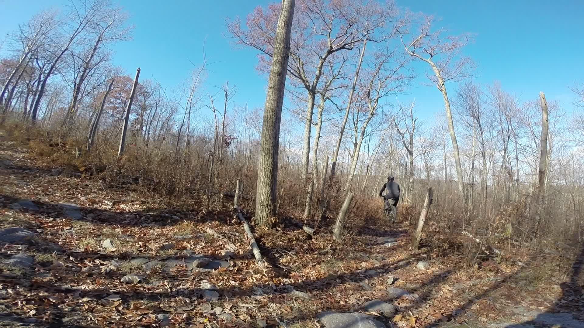 A person riding a bicycle on a rocky, wooded trail during autumn, surrounded by bare trees and fallen leaves under a clear blue sky. Long Pond Ironworks State Park mountain bike trail.