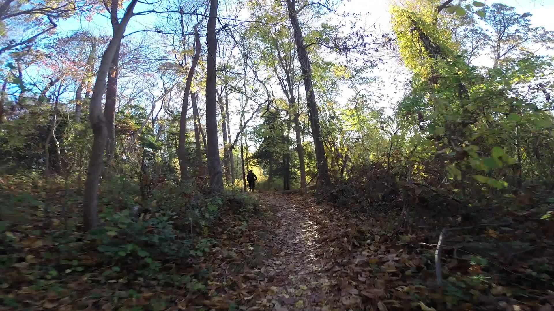 A narrow, leaf-covered path winds through a forest filled with tall trees and vibrant green foliage. In the distance, a person walks along the trail, with sunlight filtering through the branches above. Hartshorne Woods Park mountain bike trail.