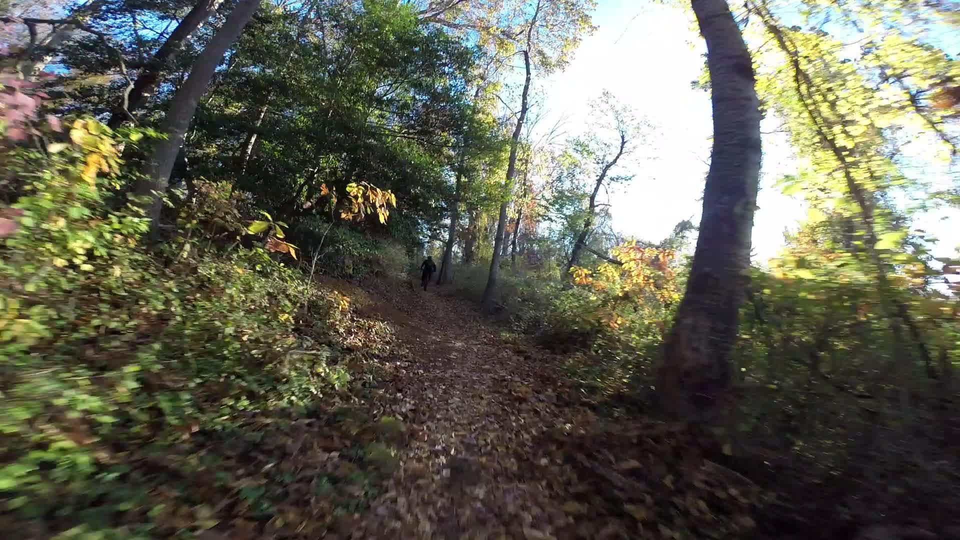 A narrow dirt path winding through a forest, surrounded by trees with green and golden leaves. Sunlight filters through the foliage, illuminating the trail covered in fallen leaves. A person in the distance is walking along the path, enjoying the serene natural setting. Hartshorne Woods Park mountain bike trail.