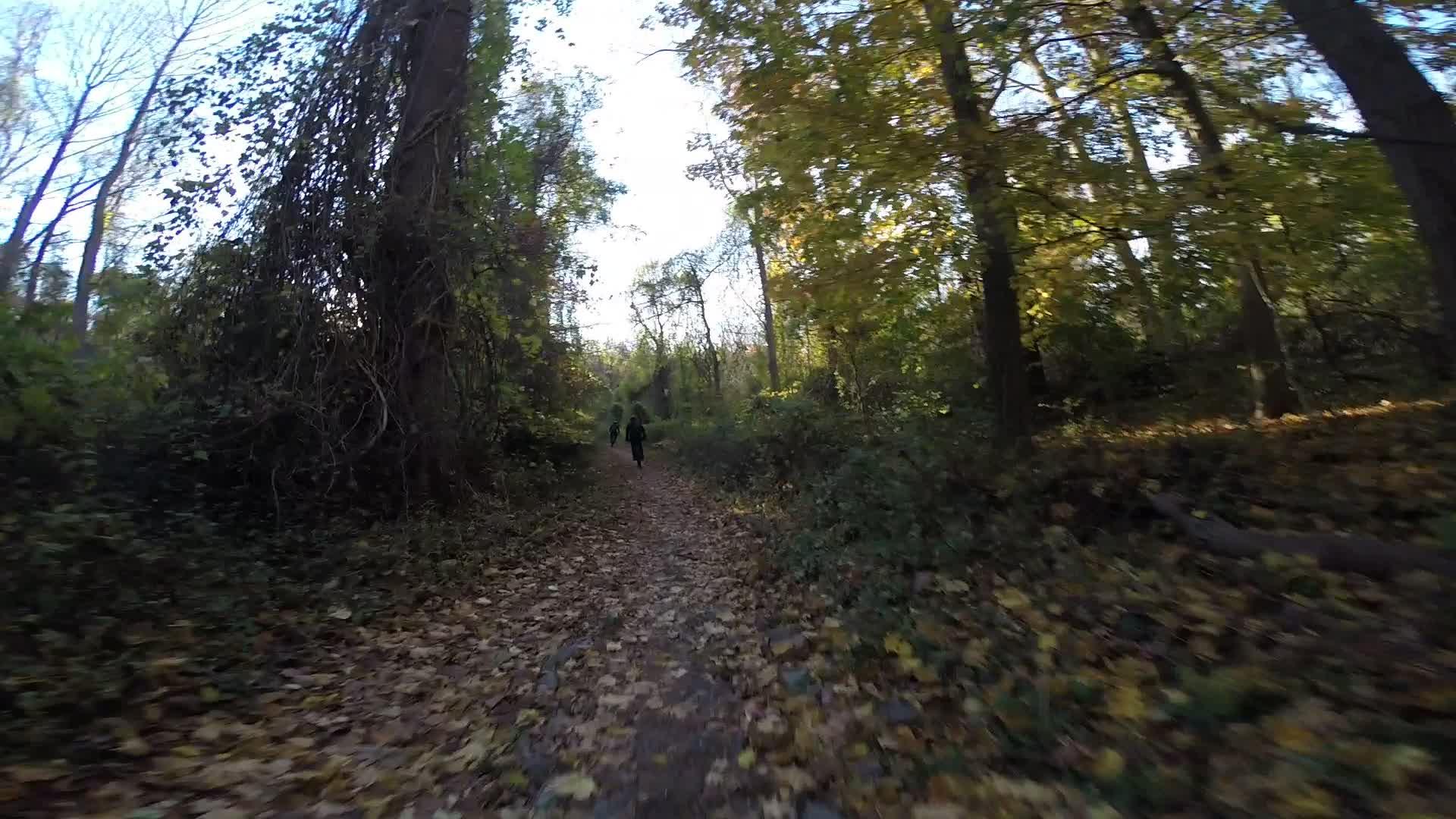 A narrow forest path lined with fallen leaves, flanked by trees displaying vibrant autumn foliage. Two figures are seen walking in the distance, surrounded by greenery and dappled sunlight filtering through the branches. Hartshorne Woods Park mountain bike trail.