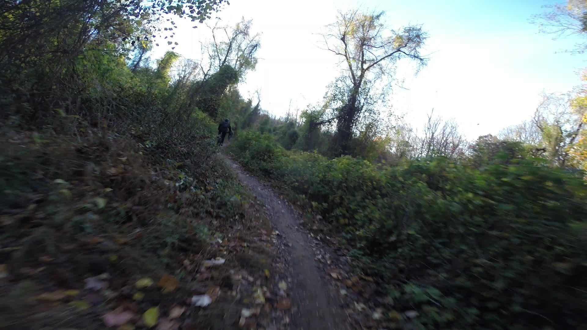 A mountain biker riding along a narrow, wooded trail surrounded by dense vegetation and autumn leaves. The scene captures the natural beauty of the forest with trees in the background and a clear blue sky. Hartshorne Woods Park mountain bike trail.