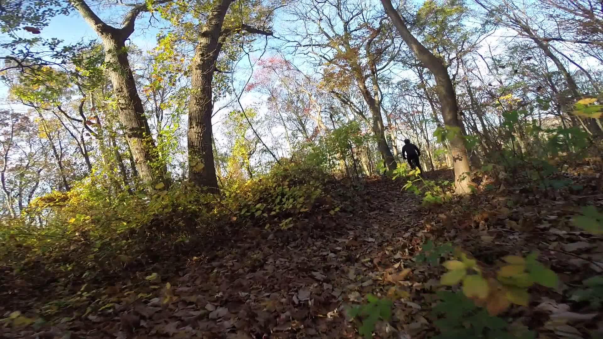 A person hiking on a wooded trail surrounded by trees with colorful autumn leaves under a blue sky. The ground is covered with fallen leaves, and sunlight filters through the branches. Hartshorne Woods Park mountain bike trail.