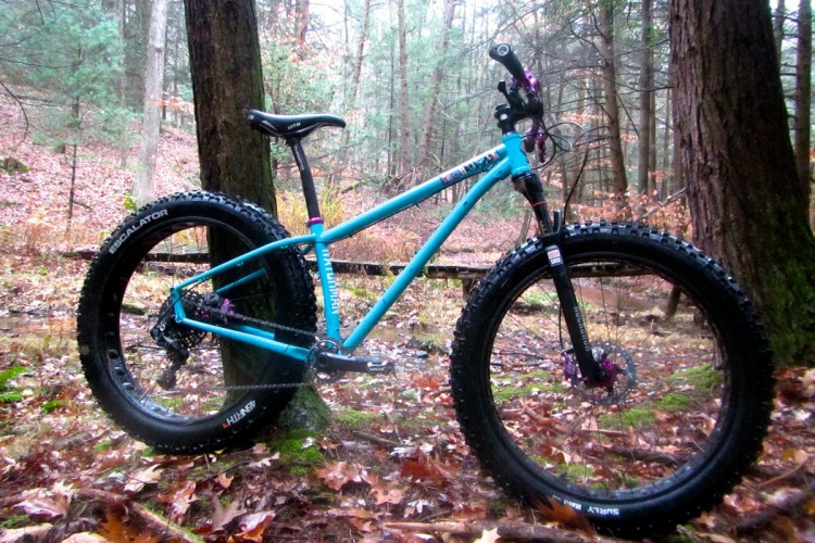A turquoise mountain bike with wide tires leaning against a tree in a forested area covered with fallen leaves. The scene is slightly misty, indicating a cool, damp environment.