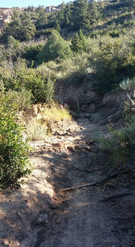 A narrow, rocky trail winding through a densely vegetated area, with shrubs and small bushes lining the path. The sunlight filters through the trees above, casting shadows on the ground. The trail is uneven, with exposed roots and stones, leading up a slope towards a wooded hill in the background. Palmer Park mountain bike trail.