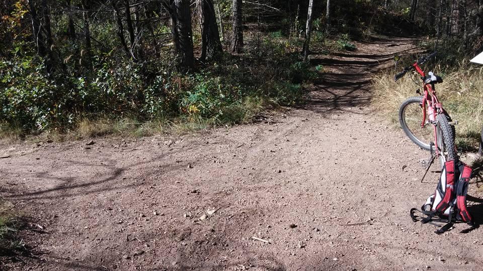 A dirt path diverging into two trails in a forested area, with a bicycle parked on the right side. Surrounding vegetation includes small shrubs and patches of grass, with trees in the background providing shade. The scene is illuminated by natural sunlight. Cheyenne Mountain State Park mountain bike trail.