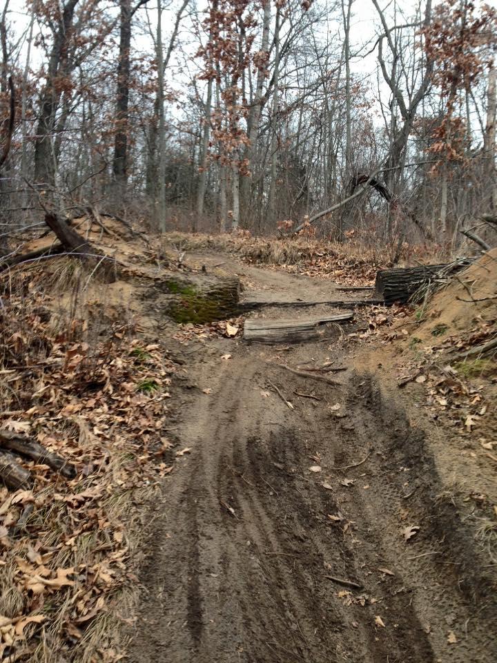 A winding dirt trail through a forest, with bare trees on either side and scattered dry leaves on the ground. A small wooden bridge crosses a shallow depression in the path. The landscape is predominantly brown and grey, indicating early spring or late autumn. Brighton Rec Area mountain bike trail.