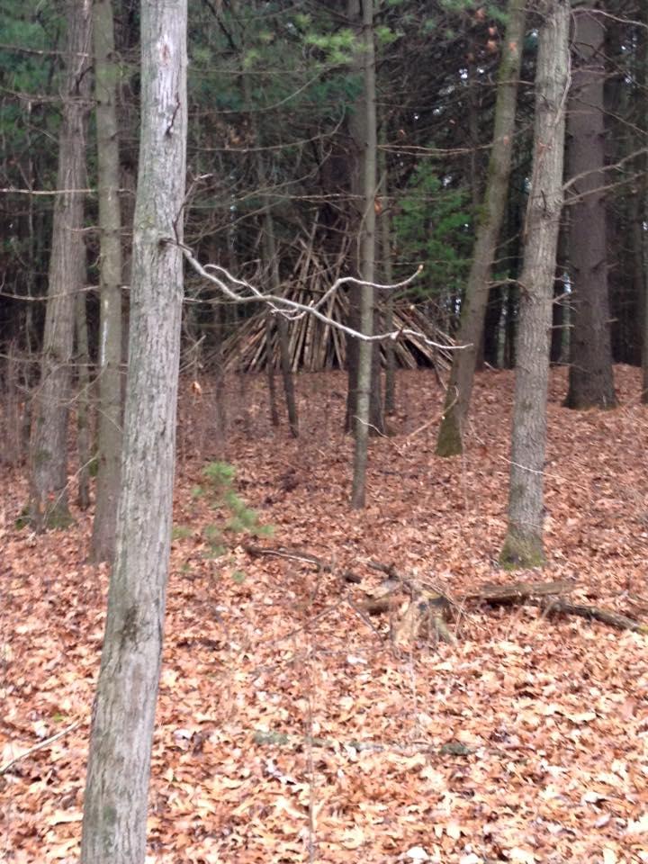 A wooded area featuring tall trees with a carpet of brown fallen leaves. In the background, there is a structure made of sticks and branches, partially hidden among the trees. Brighton Rec Area mountain bike trail.