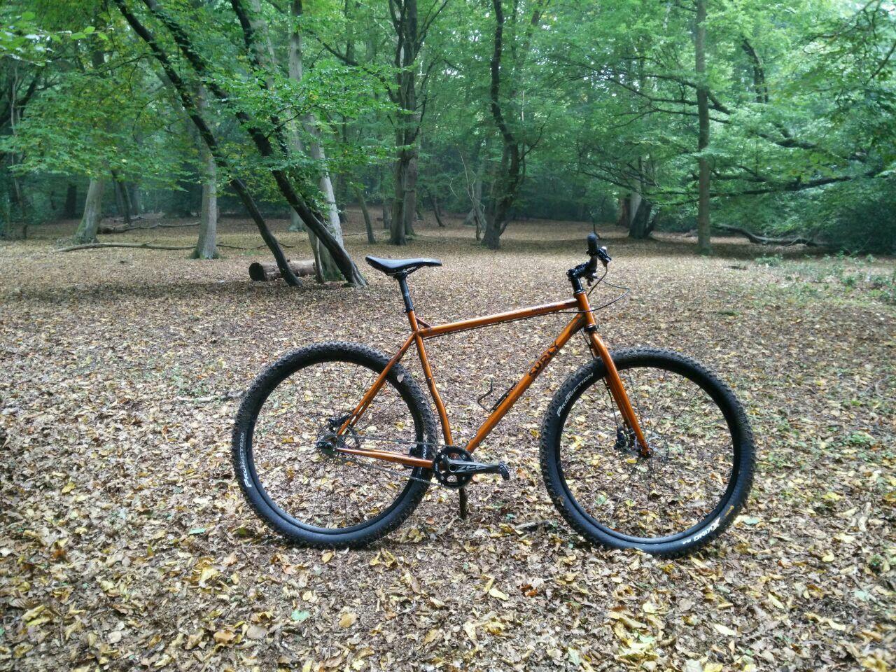 Surly Karate Monkey: A bright orange mountain bike standing on a bed of fallen leaves in a green forest setting. Tall trees surround the area, creating a serene atmosphere with dappled light filtering through the leaves.
