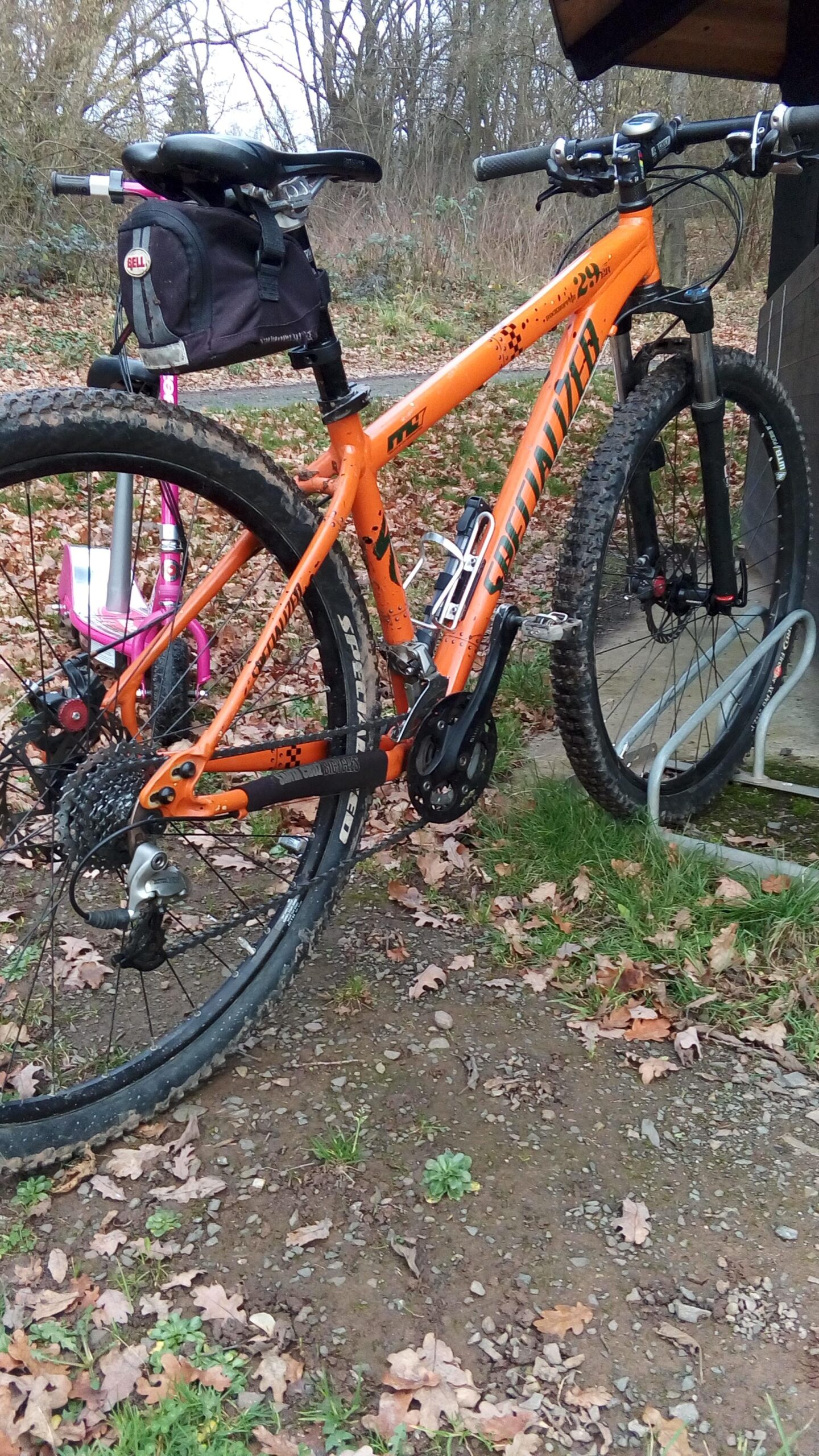 Specialized Rockhopper 29: Alt text: An orange mountain bike with a black saddle bag is parked next to a bike rack in a forested area. The ground is covered in fallen leaves and there are patches of grass and dirt visible. The bike shows signs of use with muddy tires and a sturdy frame designed for off-road riding.