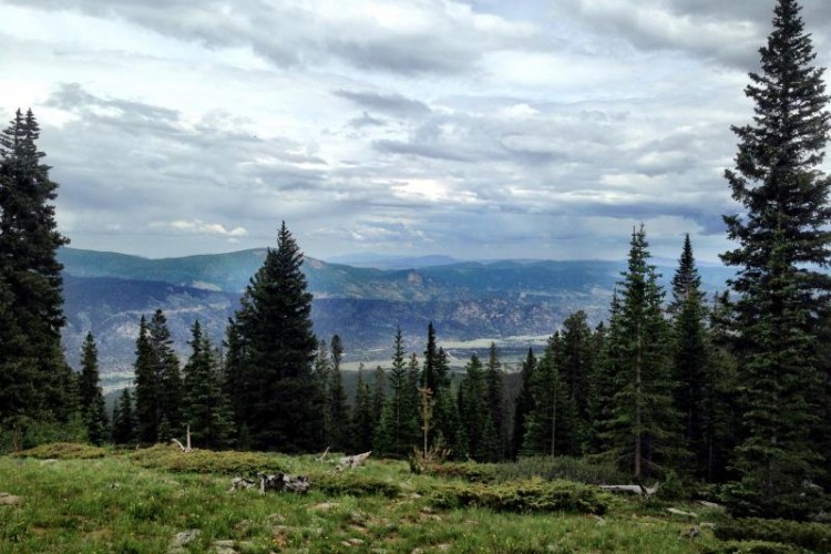 A scenic view of a mountainous landscape featuring tall evergreen trees in the foreground and rolling hills in the background. The sky is partly cloudy, creating a serene atmosphere.