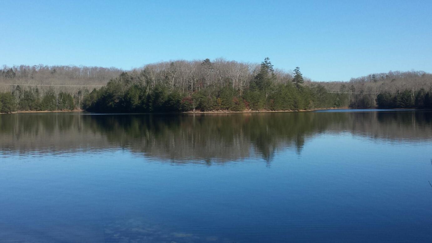 A serene landscape featuring a calm lake reflecting nearby trees and a clear blue sky. The shore is lined with a mix of evergreen and bare trees, creating a tranquil natural scene. Sheltowee Trace - Laurel Lake Trail mountain bike trail.