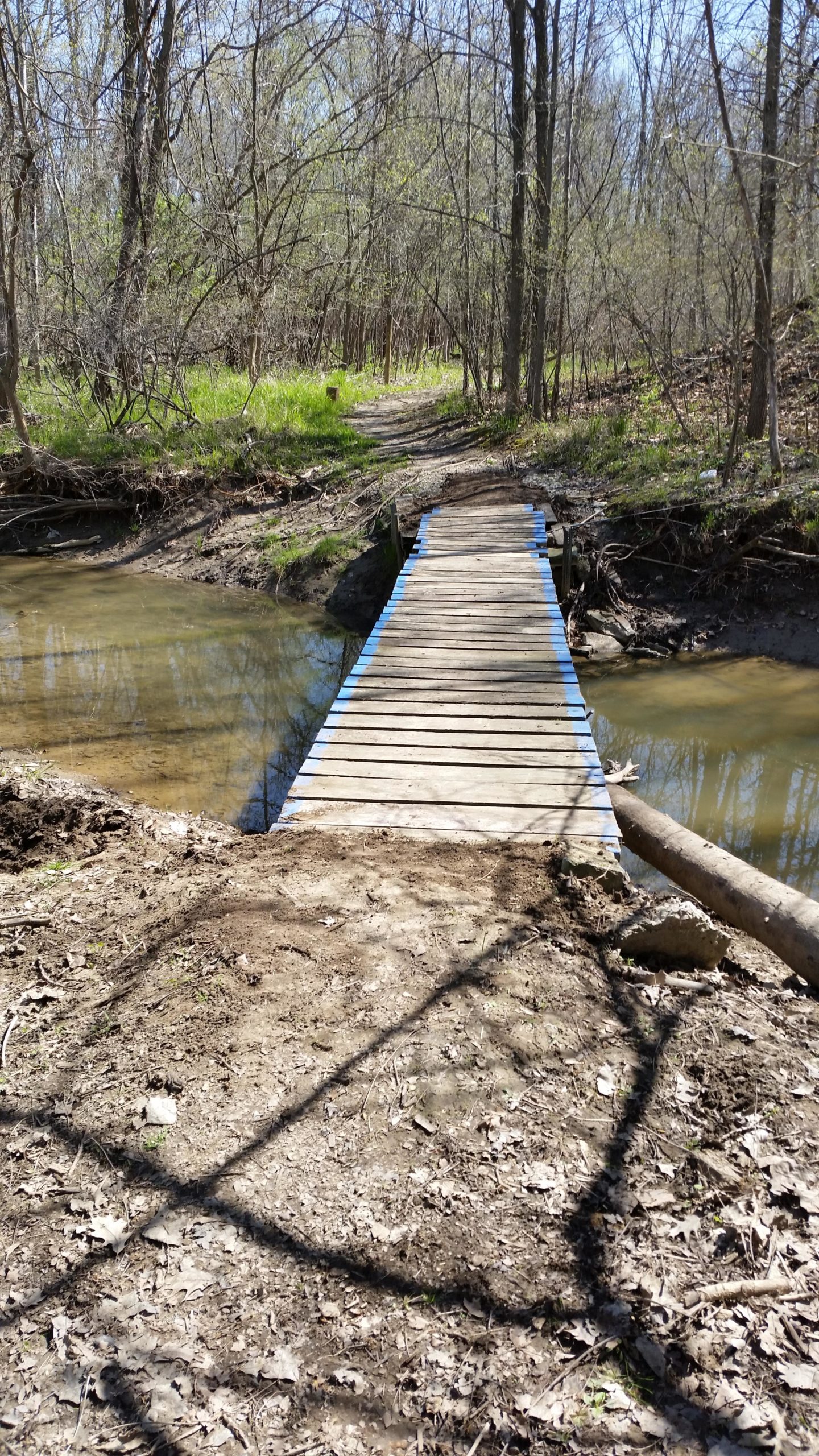 A wooden footbridge with blue paint accents spans a shallow creek, surrounded by leafless trees and emerging greenery in a forested area. The sunlight casts shadows on the dirt path leading to the bridge, indicating a serene natural setting. Oakwood Park mountain bike trail.