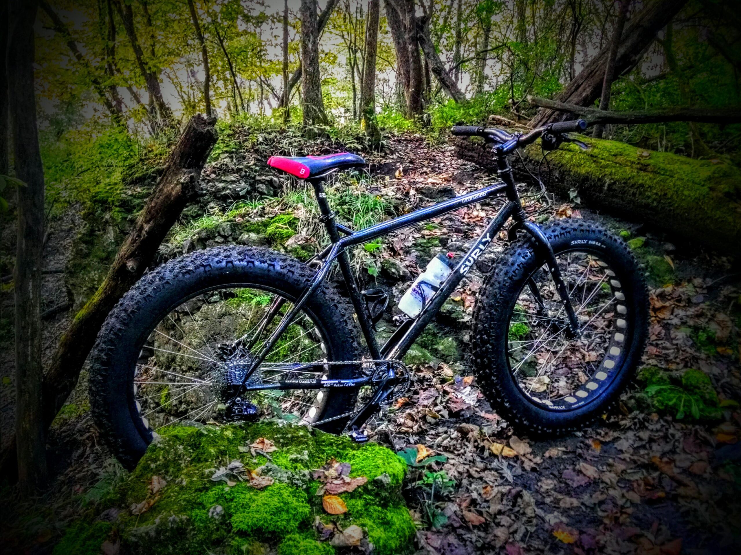 A black fat tire bike is parked on a mossy rock in a wooded area. The bike features wide, textured tires and a red and black saddle, surrounded by autumn leaves and greenery. Sunlight filters through the trees in the background, creating a serene outdoor setting. Lime Creek Nature Preserve mountain bike trail.