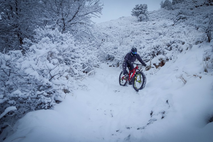 A cyclist riding a fat bike down a snow-covered trail surrounded by winter scenery, with trees blanketed in snow and a gray sky in the background.