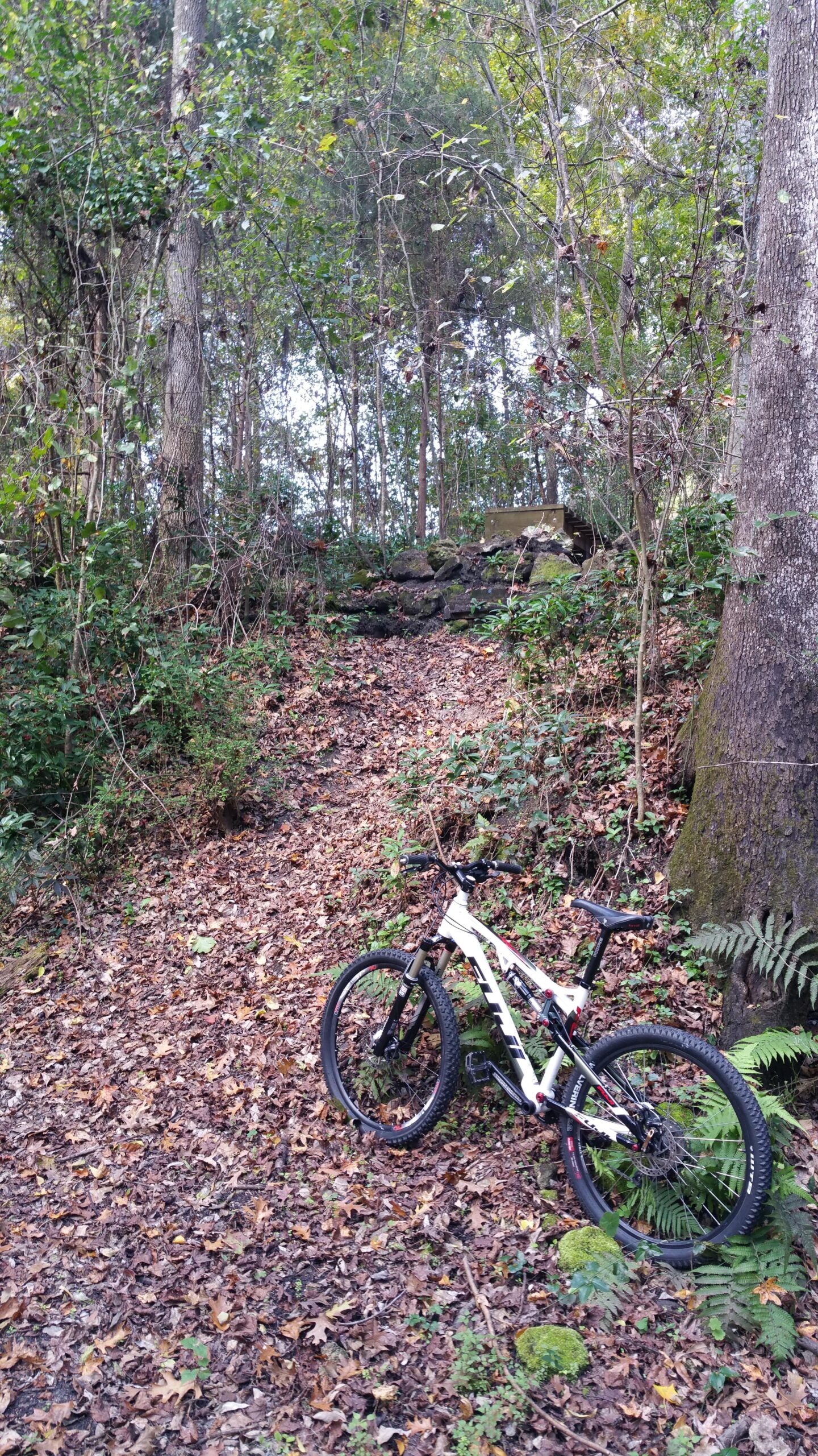 Fuji Outland: A mountain bike resting on a leaf-covered trail in a wooded area with trees and foliage surrounding the path. Some rocks are partially visible in the background near the top of the trail.