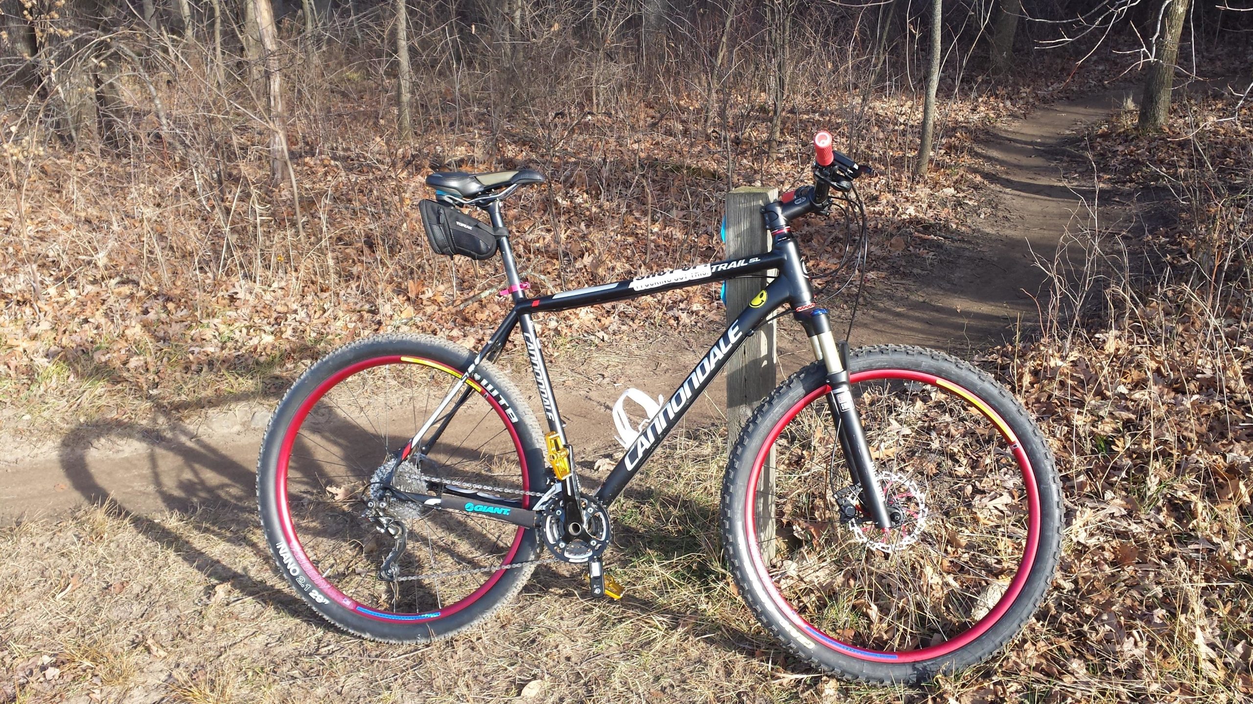 A black Cannondale mountain bike with colorful accents is parked on a dirt path surrounded by autumn leaves and trees. The bike features a front suspension fork, red and yellow rims, and a small bag attached to the seat post. A winding trail is visible in the background. Luton Park Trail mountain bike trail.