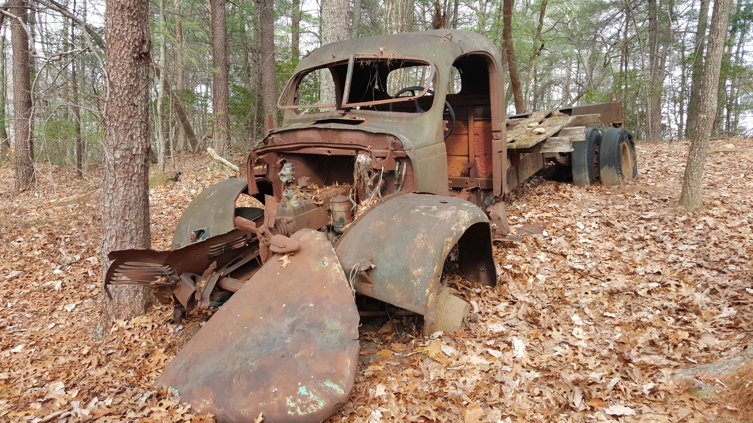 A rusted old truck abandoned in a forest, partially covered in fallen leaves. The vehicle's front end is missing parts, and vegetation is growing through the openings. Trees surround the scene, creating a serene yet nostalgic atmosphere. Bull Mountain / 223 mountain bike trail.