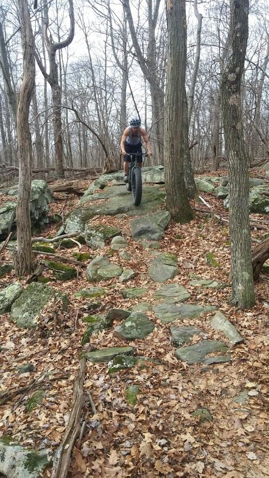 A person riding a mountain bike on a rocky trail surrounded by bare trees and fallen leaves, navigating through a natural wooded area. Frederick Watershed mountain bike trail.