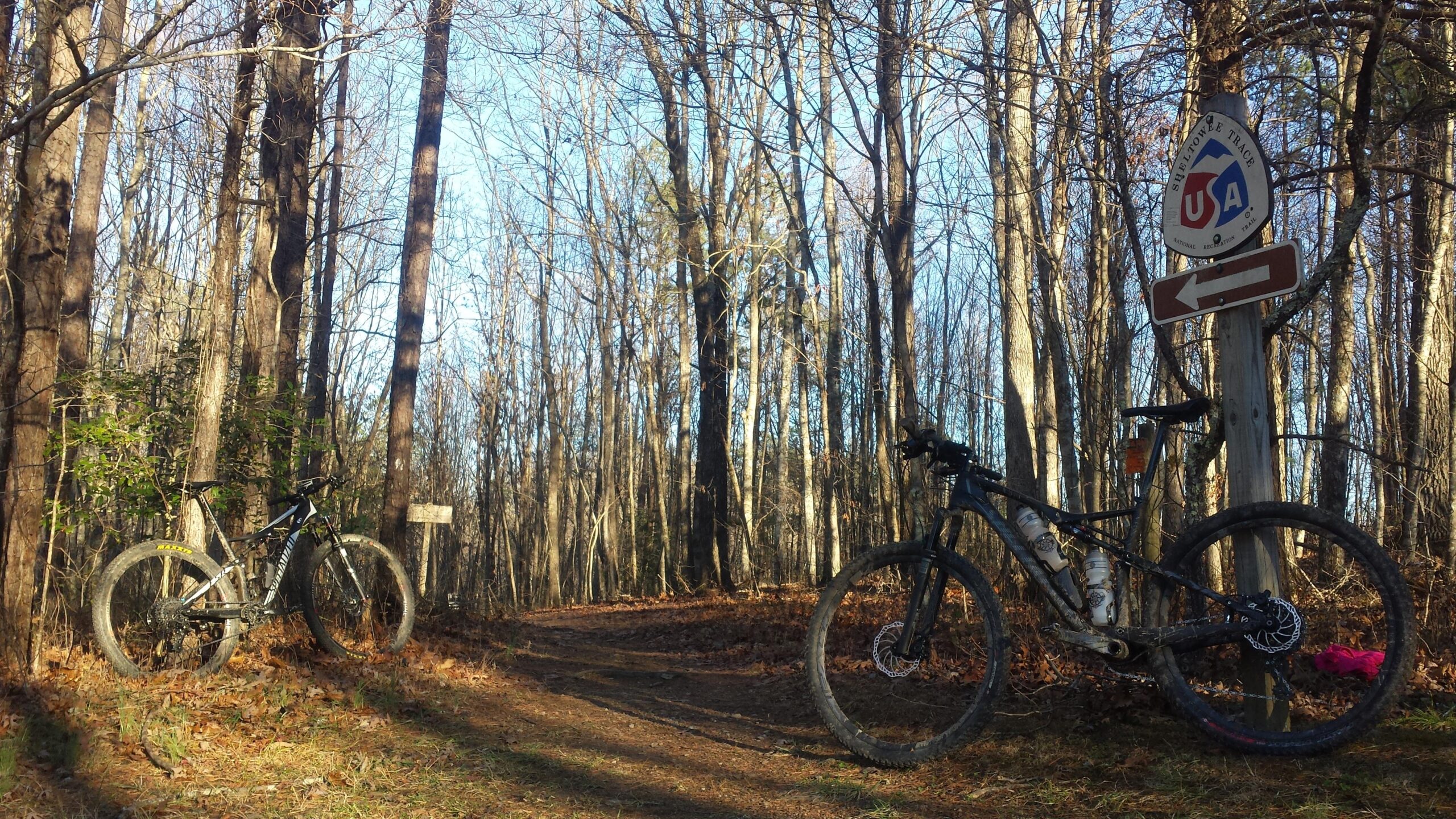 Two mountain bikes are parked on a dirt trail surrounded by trees in a forest. A sign indicating the trail direction is next to the bikes, with clear skies in the background and fallen leaves on the ground. The scene captures a peaceful outdoor moment ideal for biking enthusiasts. Sheltowee Trace - Laurel Lake Trail mountain bike trail.